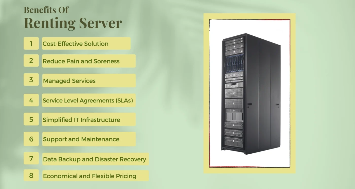 Advantages of Renting a Server